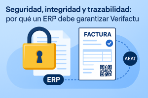 seguridad VeriFactu